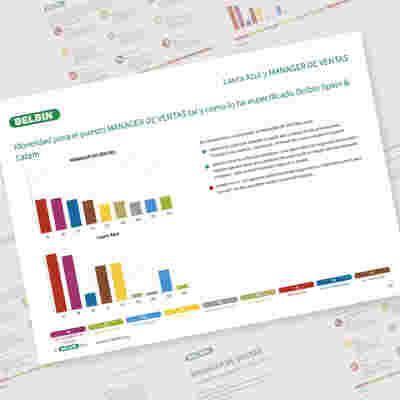 Belbin Job Comparison Report Lisa Black And Sales Manager Showcase 1 ES