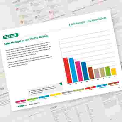 Belbin Job Report Sales Manager Job Expectations Showcase