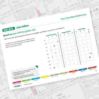 John Yellow Page 3 Showcase Belbin Team Role Report