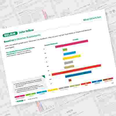 John Yellow Page 4 Showcase Belbin Team Role Report