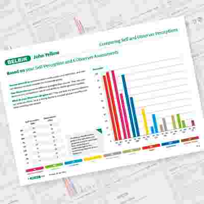 John Yellow Page 5 Showcase Belbin Team Role Report