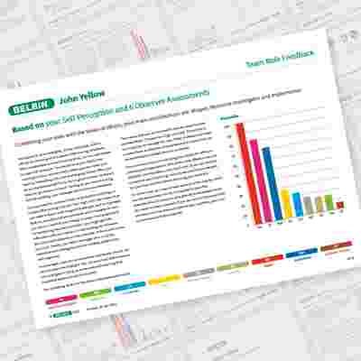 John Yellow Page 6 Showcase Belbin Team Role Report
