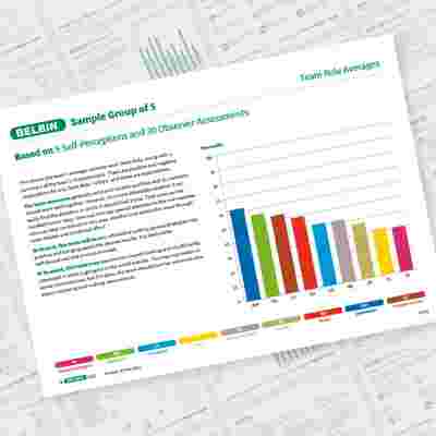 Sample Team Of 5 Team Report Page