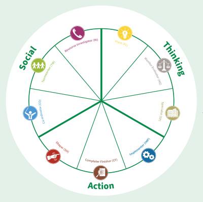 Belbin Team Role Circle 2022