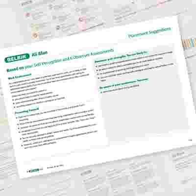 Belbin Individual Report Placement Suggestions Showcase