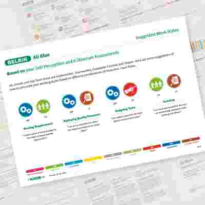 Belbin Individual Report Suggested Work Styles Showcase