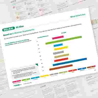 Belbin Individual Report What Others See Showcase