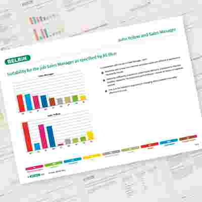 Belbin Job Comparison Report John Yellow And Sales Manager Showcase 1