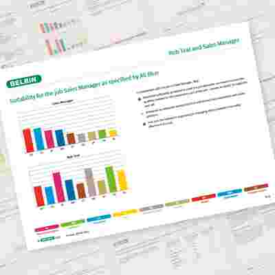 Belbin Job Comparison Report Rob Teal And Sales Manager Showcase 1