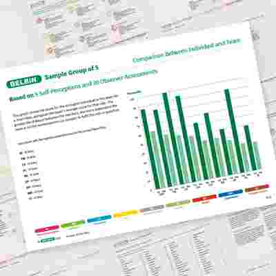 Belbin Team Report Comparison Between Individual And Team Showcase