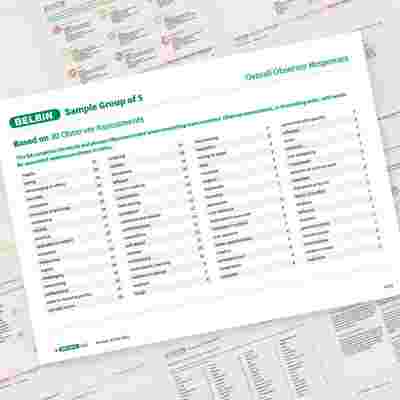 Belbin Team Report Overall Observer Responses Showcase