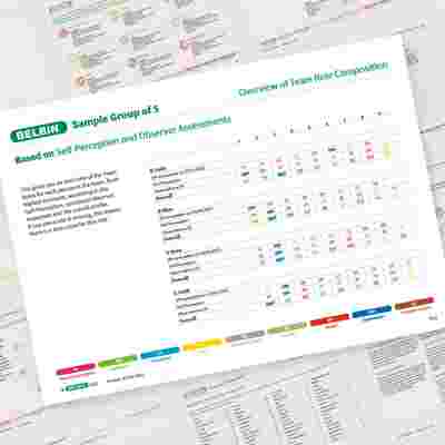 Belbin Team Report Overview Of Team Role Composition Showcase 1