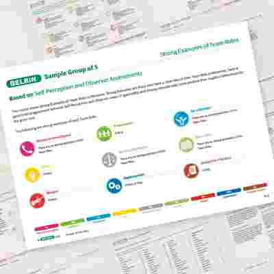 Belbin Team Report Strong Examples Of Team Roles Showcase