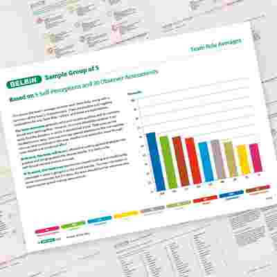 Belbin Team Report Team Role Averages Showcase