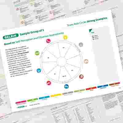 Belbin Team Report Team Role Circle Strong Examples Showcase