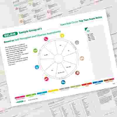 Belbin Team Report Team Role Circle Top Two Team Roles Showcase
