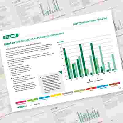 Belbin Working Relationship Report Jan Cobalt And Jean Paul Pink Showcase