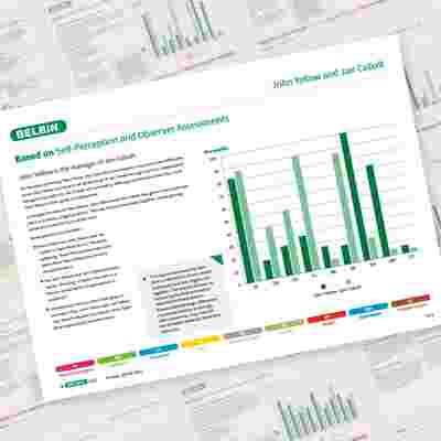 Belbin Working Relationship Report John Yellow And Jan Cobalt Showcase