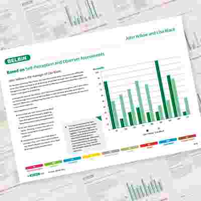 Belbin Working Relationship Report John Yellow And Lisa Black Showcase