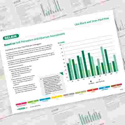 Belbin Working Relationship Report Lisa Black And Jean Paul Pink Showcase