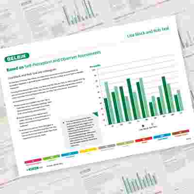 Belbin Working Relationship Report Lisa Black And Rob Teal Showcase