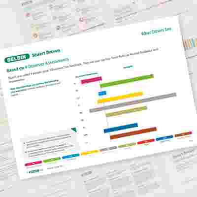 Stuart Brown Sample Report What Others See