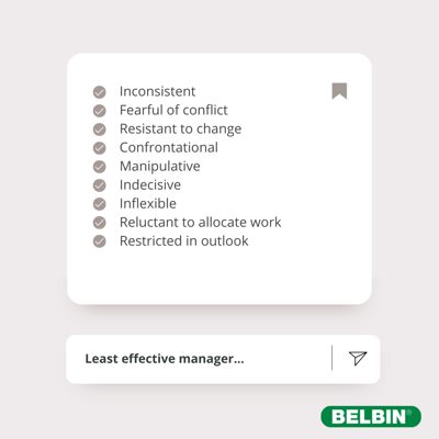 What makes a great manager - List B