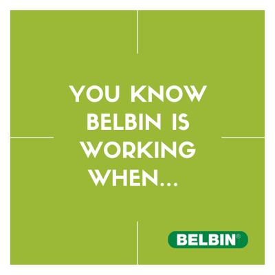 You Know Belbin Is Working When