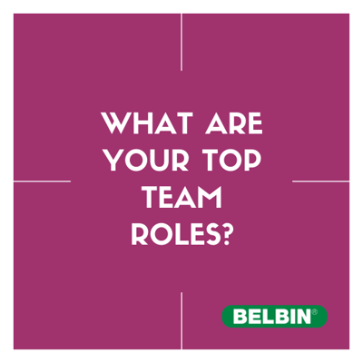 What Are Your Top Team Roles