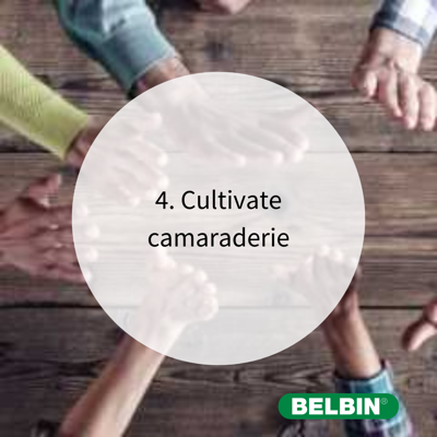 How To Manage A Hybrid Team With Belbin 4 Cultivate Camaraderie