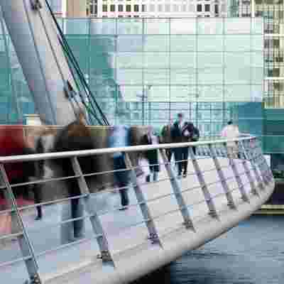 Belbin Within Your Organisation 2024