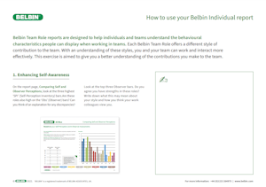 How To Use Your Belbin Individual Report 2024