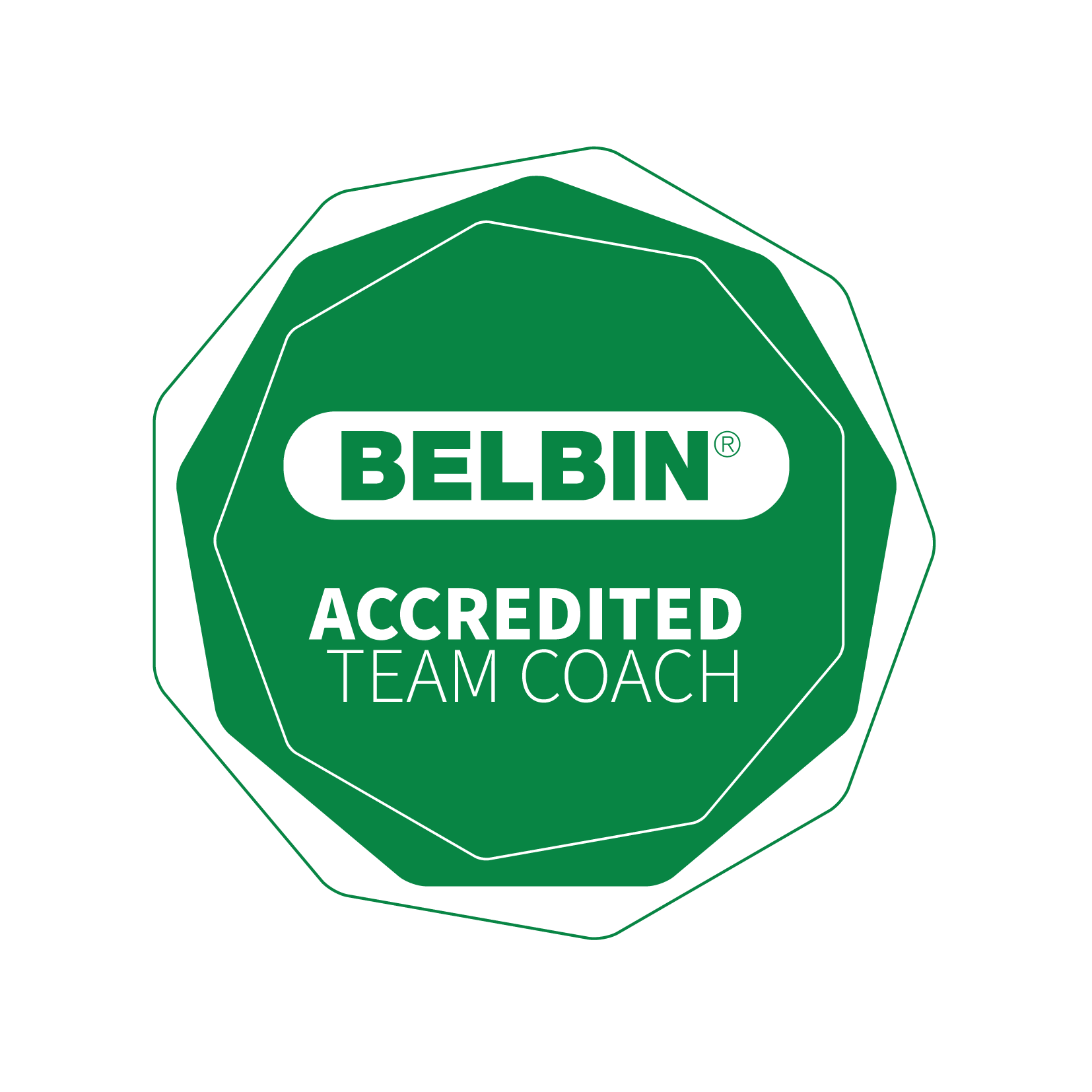 Belbin Accreditedteamcoach