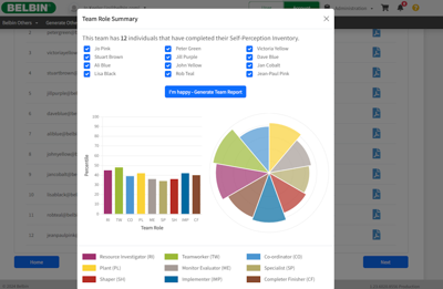 Interplace Team Report Screen 2024