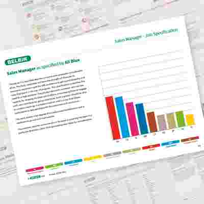 Belbin Job Report Sales Manager Job Specification Showcase