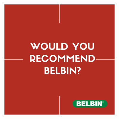 Would You Recommend Belbin (1)