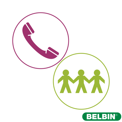 BELBIN ICONS
